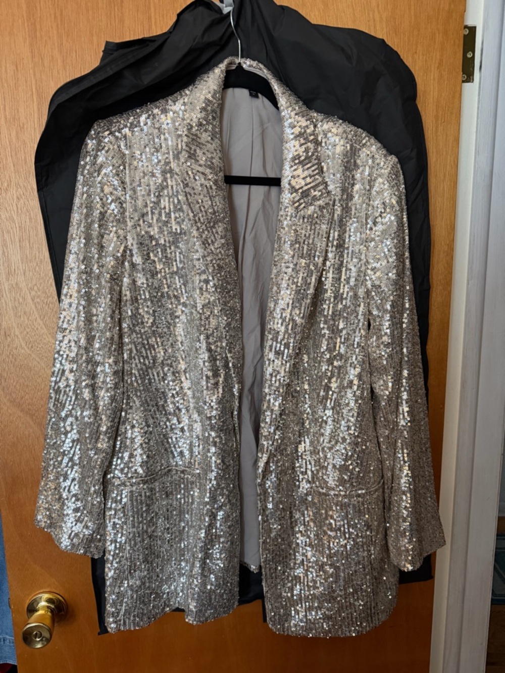 Express Silver Sequin Blazer Jacket
